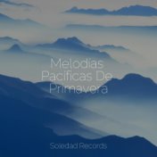 Melodías Pacíficas De Primavera