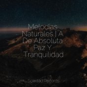 Melodías Naturales | A De Absoluta Paz Y Tranquilidad