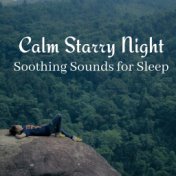 Calm Starry Night: Soothing Sounds for Sleep