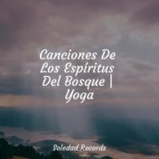 Canciones De Los Espíritus Del Bosque | Yoga