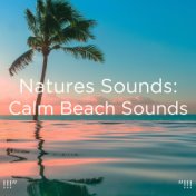 !!!" Natures Sounds: Calm Beach Sounds "!!!