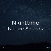 !!!" Nighttime Nature Sounds "!!!