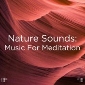 !!!" Nature Sounds: Music For Meditation "!!!