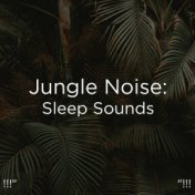 !!!" Jungle Noise: Sleep Sounds "!!!