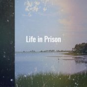 Life in Prison