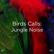 !!!" Birds Calls: Jungle Noise "!!!