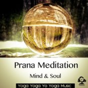 Prana Meditation: Mind & Soul
