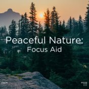 !!!" Peaceful Nature: Focus Aid "!!!