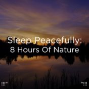 !!!" Sleep Peacefully: 8 Hours of Nature "!!!