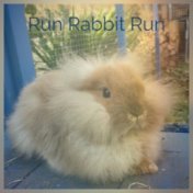 Run Rabbit Run