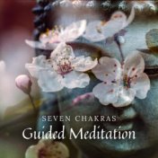 Seven Chakras Guided Meditation (Instrumental Hindu Music for Chakra Cleansing, Healing & Balancing)