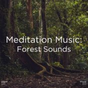 !!!" Meditation Music: Forest Sounds "!!!