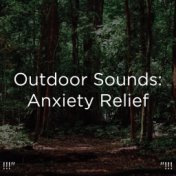 !!!" Outdoor Sounds: Anxiety Relief  "!!!
