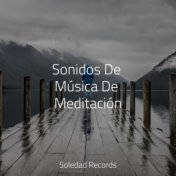 Sonidos De Música De Meditación