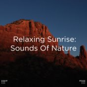 !!!" Relaxing Sunrise: Sounds Of Nature  "!!!