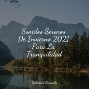 Sonidos Serenos De Invierno 2021 Para La Tranquilidad