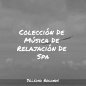 Colección De Música De Relajación De Spa