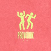 PROVODNIK