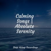 Calming Songs | Absolute Serenity