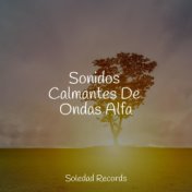 Sonidos Calmantes De Ondas Alfa