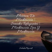 Música De Meditación | Sonidos Relajantes | Meditación Spa Y Meditación
