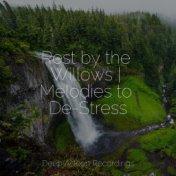 Rest by the Willows | Melodies to De-Stress