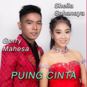 Puing Cinta