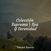 Colección Suprema | Spa Y Serenidad