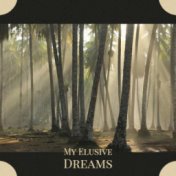 My Elusive Dreams