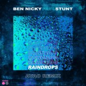 Raindrops (Avao Remix)