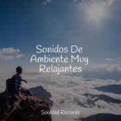 Sonidos De Ambiente Muy Relajantes