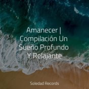 Amanecer | Compilación Un Sueño Profundo Y Relajante