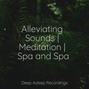 Alleviating Sounds | Meditation | Spa and Spa