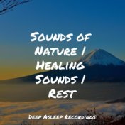 Sounds of Nature | Healing Sounds | Rest