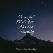 Peaceful Melodies | Absolute Serenity