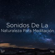 !!!" Sonidos De La Naturaleza Para Meditación "!!!