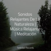 Sonidos Relajantes De La Naturaleza | Música Relajante | Meditación
