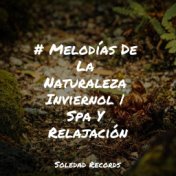 # Melodías De La Naturaleza Inviernol | Spa Y Relajación