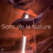 !!!" Sons de la Nature "!!!