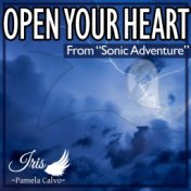 Open Your Heart (From "Sonic Adventure")