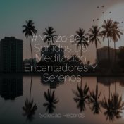 #Marzo 2021 Sonidos De Meditación Encantadores Y Serenos