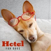 Hotel for Dogs: Relaxing Chill Music for Pets