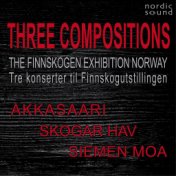 Three Compositions. The Finnskogen Exhibition Norway (Live Recordings)