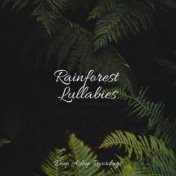 Rainforest Lullabies