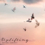 Uplifting Nature Concert – Positive Melodies from Mother Nature for Cheer You Up
