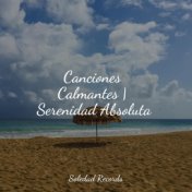 Canciones Calmantes | Serenidad Absoluta