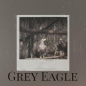 Grey Eagle