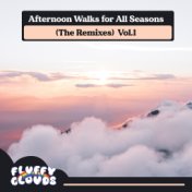 Afternoon Walks for All Seasons (The Remixes), Vol. 1