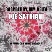 Raspberry Jam Delta (Live)
