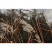 Instant Calming Soundscapes | Peaceful Melodies